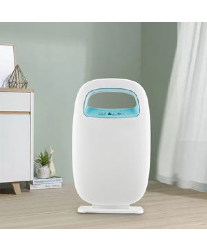 Home Appliance Home Appliance New Product Sales Household Portable Purification Smart AIR PURIFIER FOR HOME China